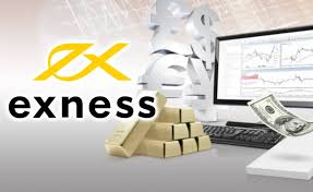 Understanding Exness A Comprehensive Guide for Traders Understanding Exness A Comprehensive Guide for Traders